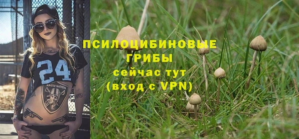 молекула духа Алзамай