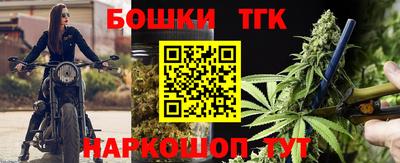 стаф Сланцы
