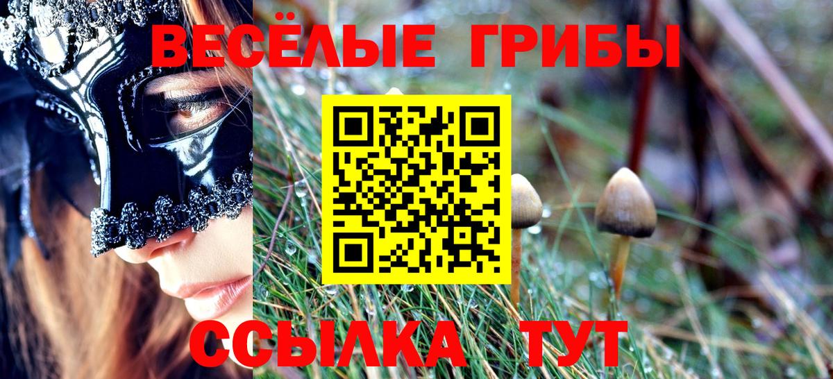 Псилоцибиновые грибы GOLDEN TEACHER Самара
